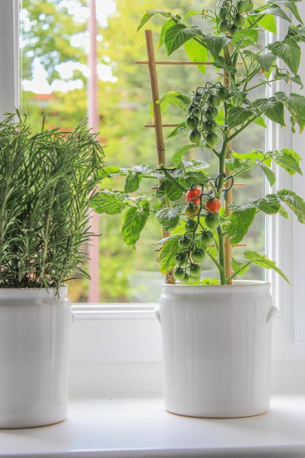 Apartment Rose Spirkelbach Zewnętrze zdjęcie